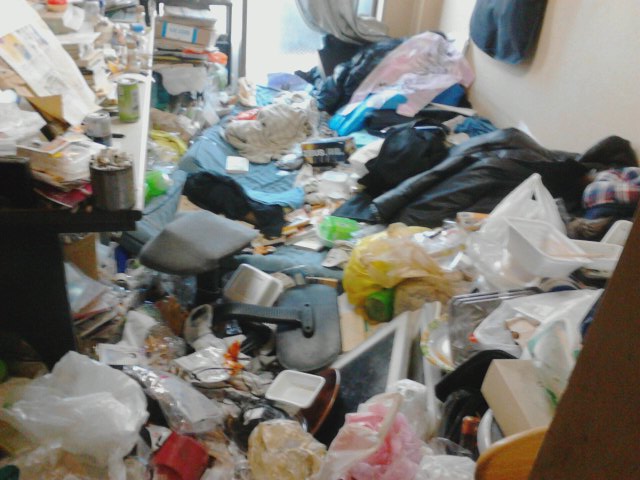 ゴミ屋敷 ゴミ屋敷
