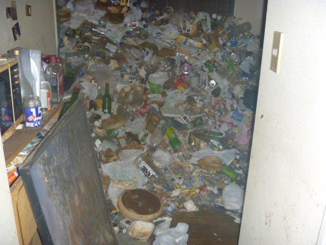 ゴミ屋敷 ゴミ屋敷