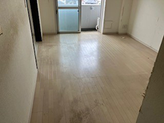 クリーンパワーズ クリーンパワーズ